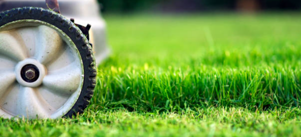 Commercial lawn mowing